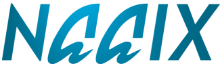 Naaix logo